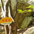 천성산(千聖山) 적멸굴(寂滅窟)