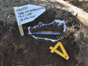 [국방부]강원 양구 발굴 6.25전사자 유해 신원확인