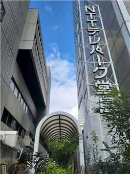 성강현_NTT 도지마지부.png