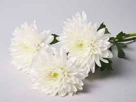 서울교구 종암 우종도 어르신 환원(진성당 변정순 동덕 부군)