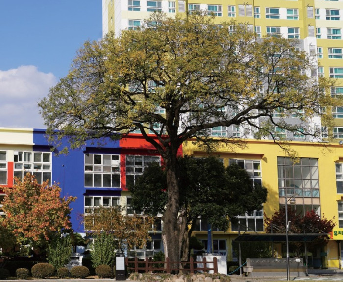 화면 캡처 2025-11-13 141410.jpg