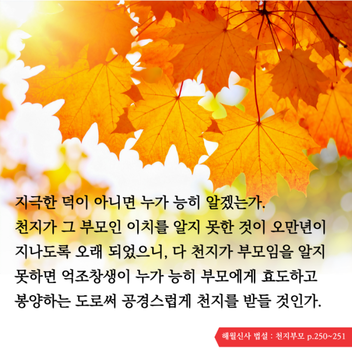 KakaoTalk_20251120_135707869.png