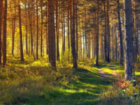 설교의 목적과 방법