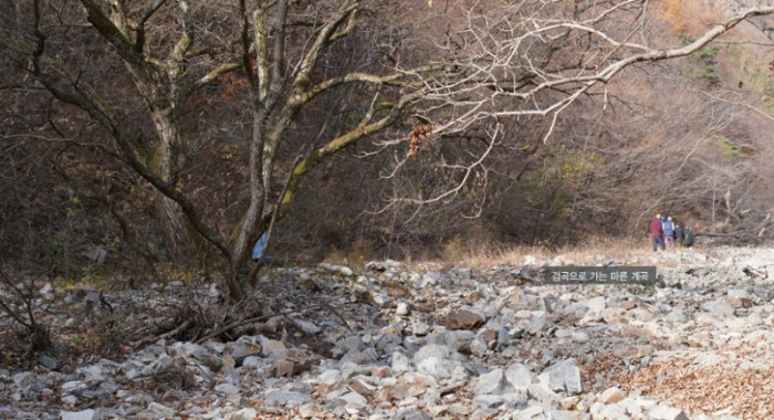 화면 캡처 2026-01-03 112329.jpg