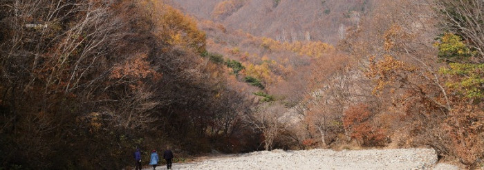 화면 캡처 2026-01-03 112249.jpg