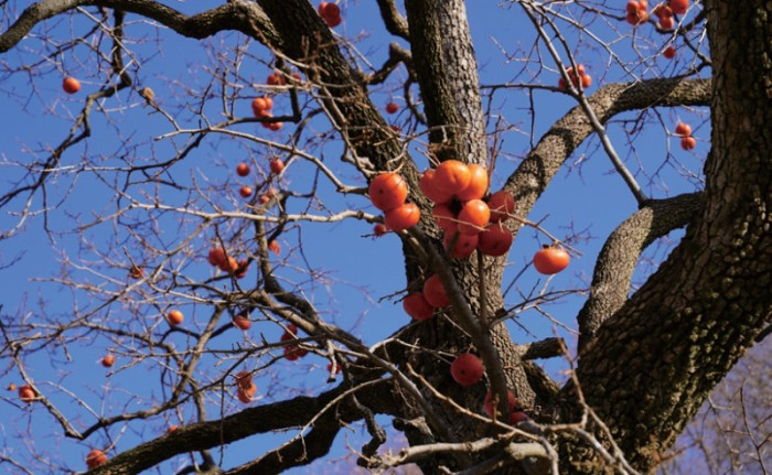 화면 캡처 2026-01-03 112215.jpg