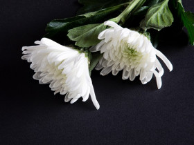 유지재단 북암 김선배 사무국장 장인상, 김말곤 선생 환원