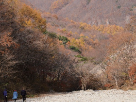 포항 흥해 검곡