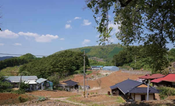 화면 캡처 2026-02-13 144450.jpg