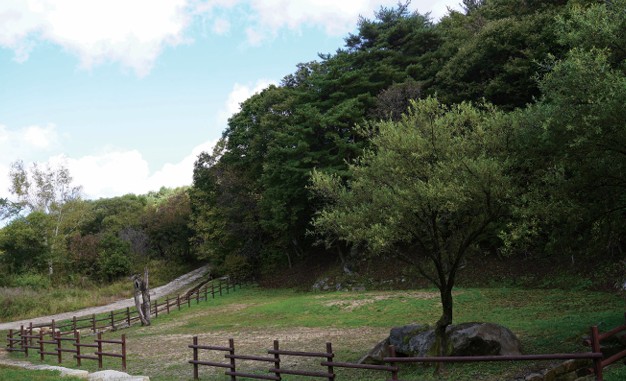 화면 캡처 2026-02-22 233844.jpg