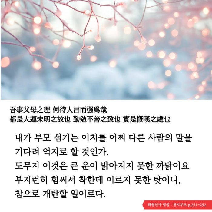 KakaoTalk_20260203_150739698.png