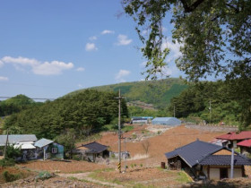 정선 방시학가(房時學家) 동학 최초의 역사서 『도원기서』 간행