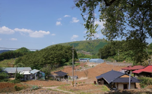 정선 방시학가(房時學家) 동학 최초의 역사서 『도원기서』 간행