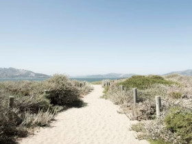 사람이 걷는 길은 하늘이 걷는 길입니다.