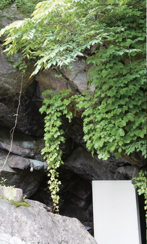 화면 캡처 2026-03-22 110835.jpg