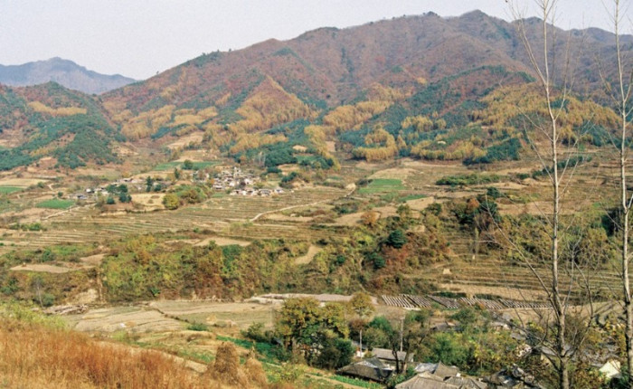 화면 캡처 2026-03-10 150000.jpg