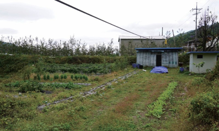 화면 캡처 2026-03-10 150020.jpg