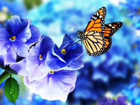 하루하루의 몸짓