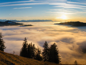 자살하려던 청년, 삶의 의미를 찾다